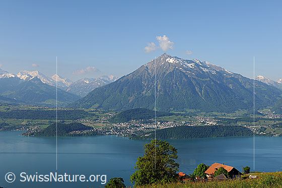 Foto: Sommerbild Thunersee mit Niesen.