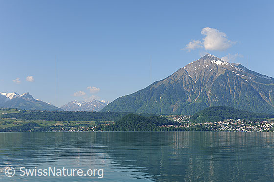 Foto: Blick über den Thunersee zum Niesen.