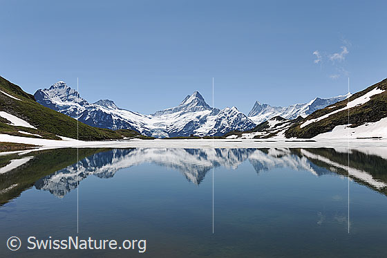 Foto: Spiegelung der Berner Hochalpen im Bachalpsee.