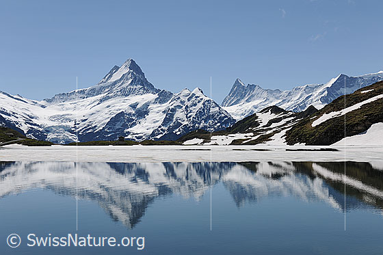 Foto: Spiegelung von Schreckhorn und Finsteraarhorn im Bachalpsee.