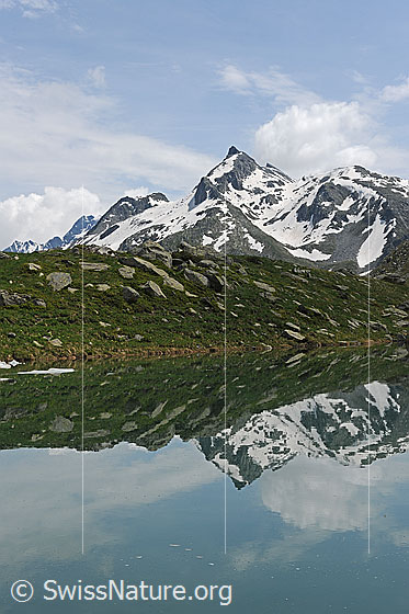 Foto: Spiegelung im Schaplersee, Binntal.
