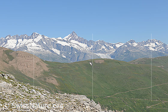 Foto: Blick über Chalti Wassre (Saflischtal) zu den Berner Alpen.
Auf die grüne Fläche ca. in der Bildmitte wird oberhalb der Alpstrasse das westliche Feld von Greniols Solar zu liegen kommen.