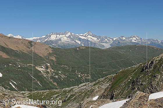 Foto: Blick über die Nordhänge des Saflischtals zu den Berner Alpen.
Auf die grüne Fläche ca. in der Bildmitte wird oberhalb der Alpstrasse das westliche Feld von Greniols Solar zu liegen kommen.