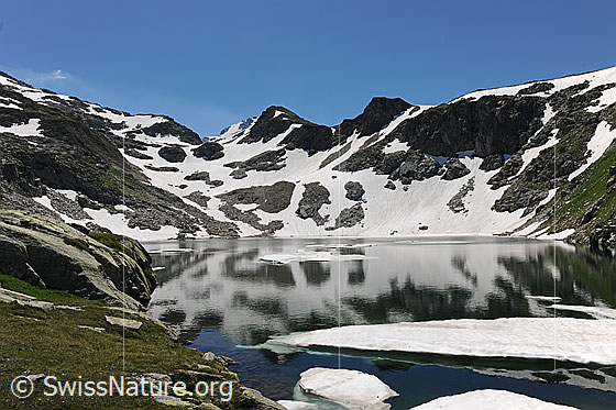 Foto: Blausee. Auf der spiegelnden Wasserfläche schwimmen Eisschollen.