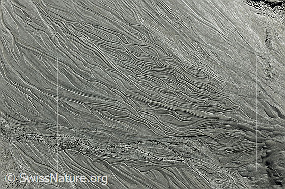 Foto: Bodenbild in einer Schwemmebene. Im feinen Schlick sind Strukturen zu sehen.