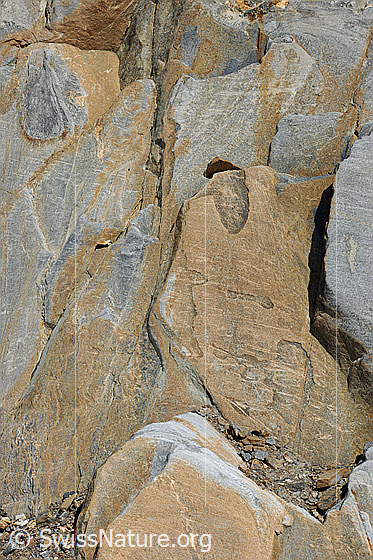 Foto: Felsstrukturen