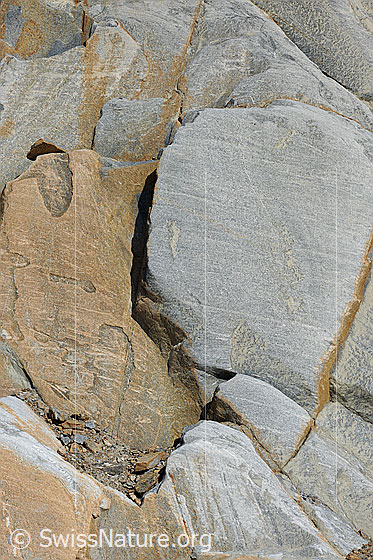 Foto: Strukturen im Fels.