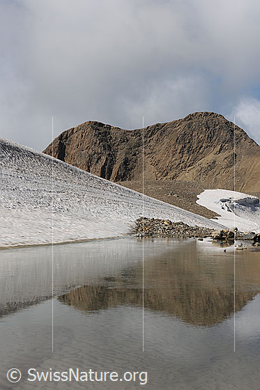 Foto: Spiegelung von Schnee und Fels in einem Bergsee.