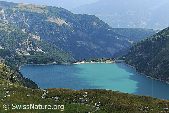 Foto: Lac de Tseuzier. Der Walliser Stausee ist gefüllt.