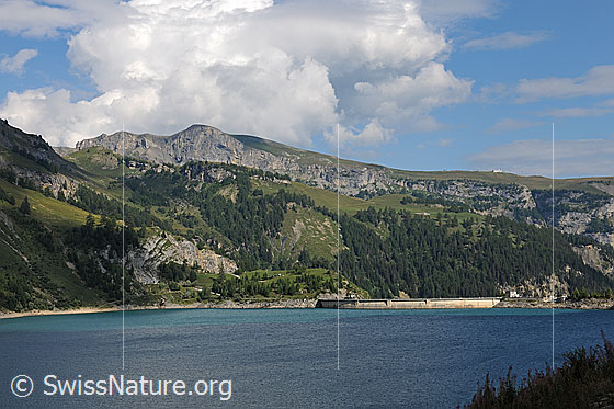 Foto: Stausee Lac de Tseuzier.
Blick über die blaue Wasserfläche zur Staumauer.