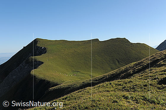 Foto: Gipfel der Bürglen (Morgeten Solar).
Die Bürglen ist ein 2165m hoher Gipfel in der Gantrischkette. Der Gipfel bietet eine ausgezeichnete Aussicht und ist auch für weniger versierte Wanderer problemlos erreichbar. 

Auf der grünen Fläche unterhalb des Gipfels, ist der Bau einer alpinen Solaranlage (Name: Morgeten Solar) geplant. Das Gebiet ist weitgehend unberührt und wird seit mehreren hundert Jahren ausschliesslich für die Sömmerung von Rindern genutzt.