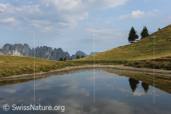 Foto: Wolken und zwei Tannen spiegeln sich im Wasser eines kleinen Bergsees.