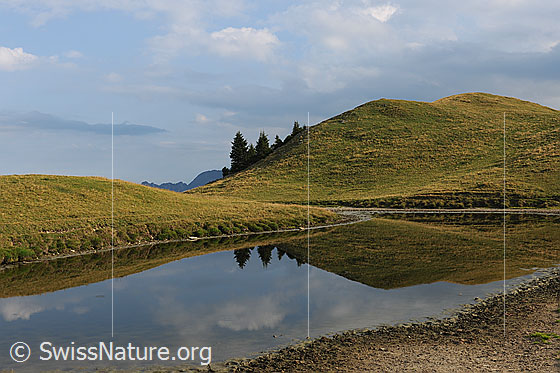 Foto: Liebliche Hügel mit Spiegelung.
