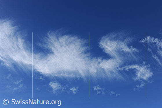 Foto: Weisses Muster aus Schleierwolken am blauen Himmel.