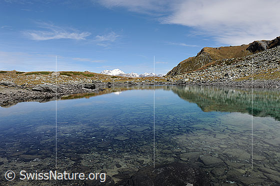 Foto: Bergsee mit Spiegelung. Im flachen, klaren Gewässer sind Steine zu sehen.