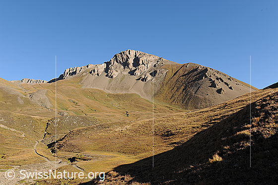 Foto: Saflischhorli vom Saflischpass.