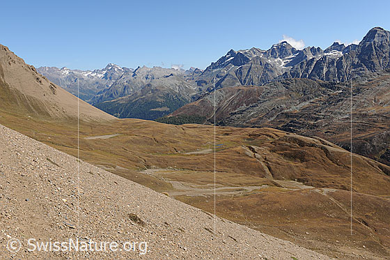 Foto: Blick vom Saflischpass über das Saflischtal Richtung Binntal/Ofehorn.
Vermutlich wird die Transportseilbahn von Grengiols Solar durch diese Landschaft führen.