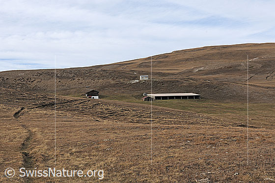 Foto: Alp Furggerchäller im Spätherbst. Die Alp besteht aus einer Kapelle, einer Alphütte für die Hirten  und einem grossen Unterstand für die Kühe.