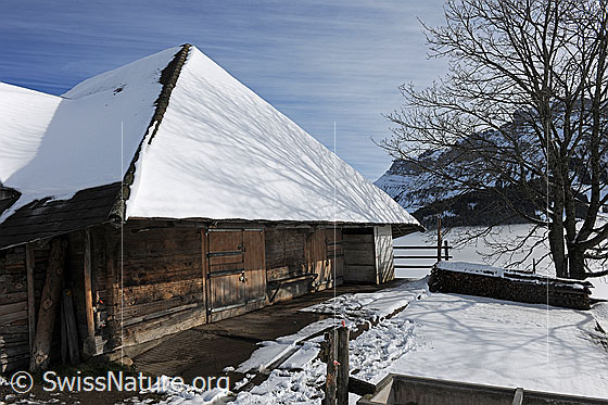 Foto: Alphütte im Winter.