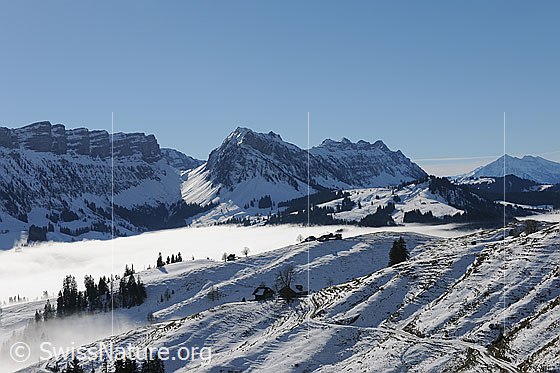 Foto: Nebelmeer vor Sieben Hengste, Sichle, Burst, Sigriswiler Rothorn und Niesen.
