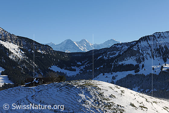 Foto: Blick über den Grünenbergpass auf Eiger, Mönch und Jungfrau.