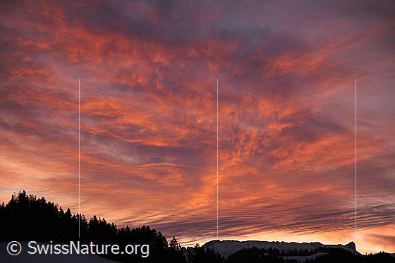 Foto: Morgenstimmung mit kräftigem Morgenrot über der Schrattenfluh.