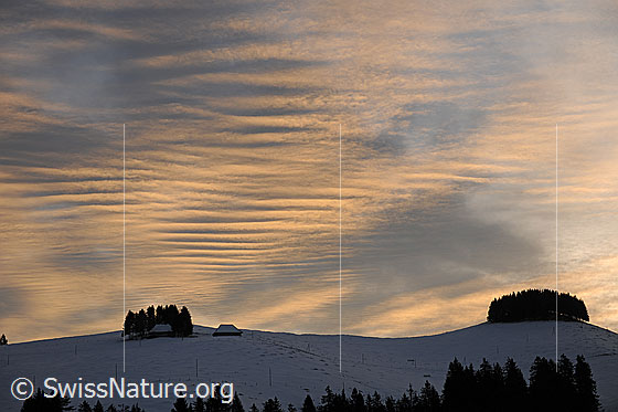 Foto: Morgenstimmung über dem Rämisgummen mit leicht gefärbtem Wolken, welche ein interessantes Muster am Himmel bilden.
