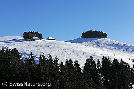 Foto: Rämisgummen im Winter.