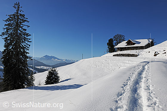 Foto: Spur im Schnee Richtung Alphütte. Im Hintergrund ist der Niesen zu sehen.