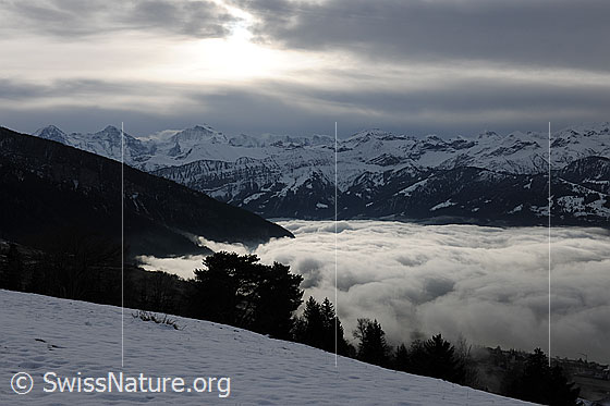 Foto: Stimmungsvolle Bewölkung über den Berner Alpen und Lichtspott auf ein umfangreiches Nebelmeer.