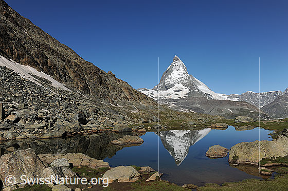 Foto: Spiegelung des Matterhons im kleinen Riffelsee
