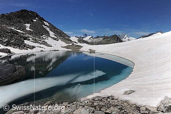 Foto: Spiegelung in Bergsee in alpiner Umgebung.