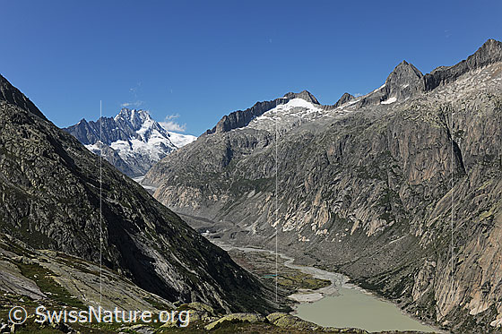 Foto: Tiefblick auf das Ufer des Grimselsees, den mäandernden Flusslauf im Gletschervorfeld und die schuttbedeckte Gletscherzunge des Unteraargletschers. Hintergrund: Lauteraarhorn, Schreckhorn, Hienderstock.