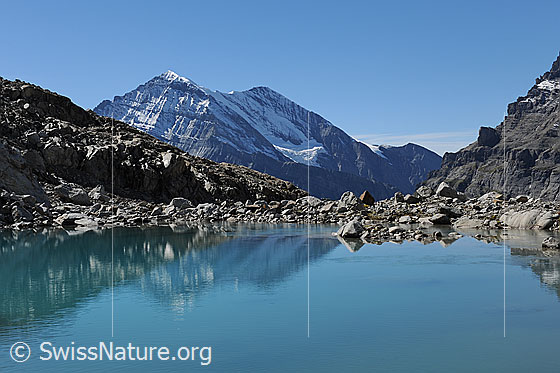 Foto: Leicht spiegelnder Bergsee im Gasteretal mit Aussicht auf Balmhorn und Altels.