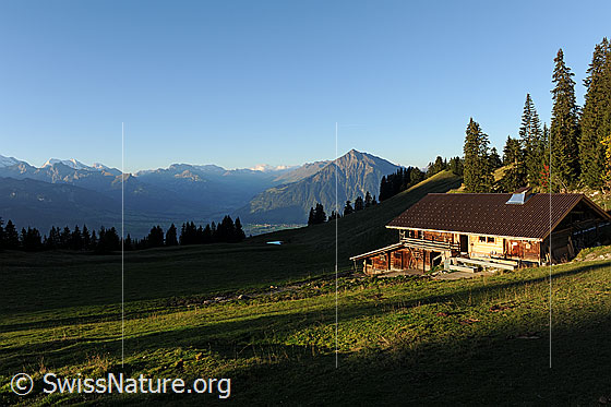 Foto: Alphütte im Berner Oberland mit Blick zum Niesen.