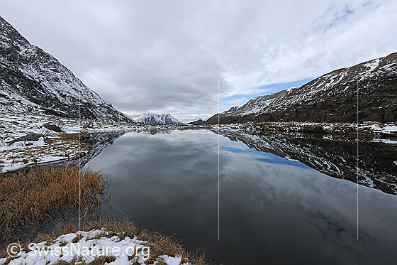 Foto: Spiegelung einer leicht verschneiten Berglandschaft in Bergsee. Bedeckter Himmel.