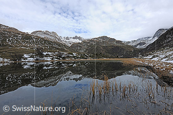 Foto: Spiegelung einer leicht verschneiten Naturlandschaft. Bedeckter Himmel.