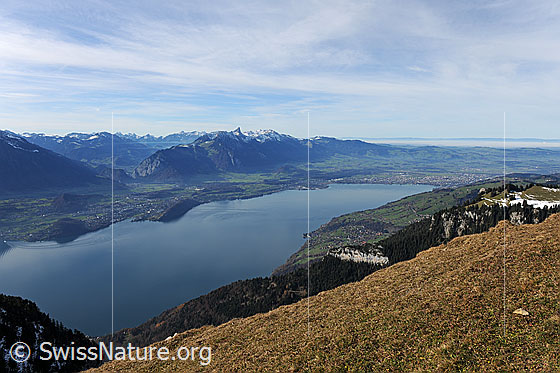 Foto: Tiefblick auf Thunersee und zu den Voralpen mit Stockhornkette.