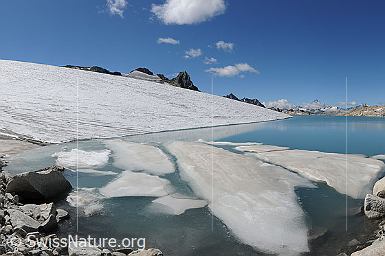 Foto: Eischollen auf dem Gletschersee am Chüebodengletscher.
