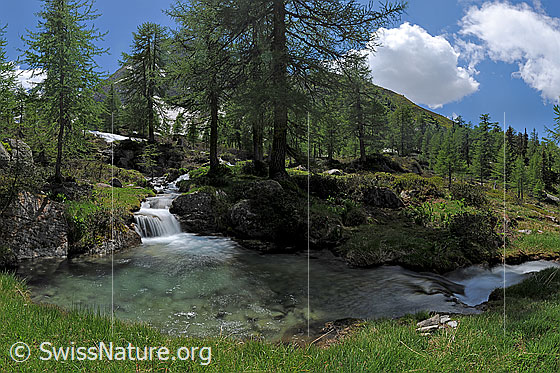 Foto: Wasserbecken in Naturlandschaft. Langzeitbelichtung.