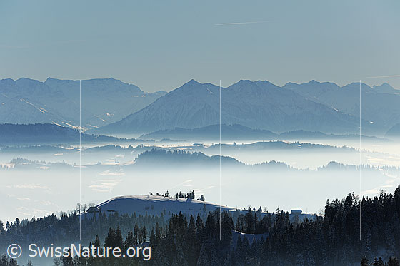 Foto: Blick vom Emmental über feines Nebelmeer zum Niesen.