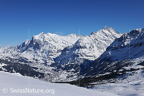 Foto: Grindelwald mit Wetterhorn und Schreckhorn.