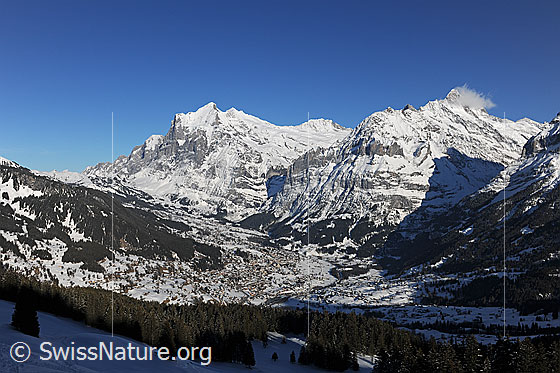 Foto: Grindelwald mit Wetterhorn im Hintergrund.