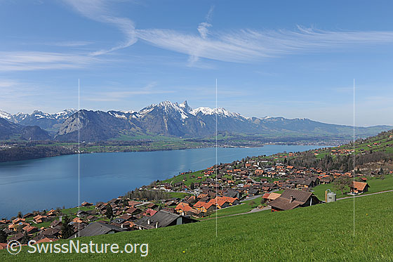 Foto: Blick auf Stockhorn und Thunersee aus der Region Sigriswil.