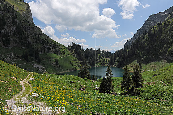 Foto: Wolkenstimmung am Walopsee. Ein holppriger Fahrwerg verleiht dem Foto Tiefe.
