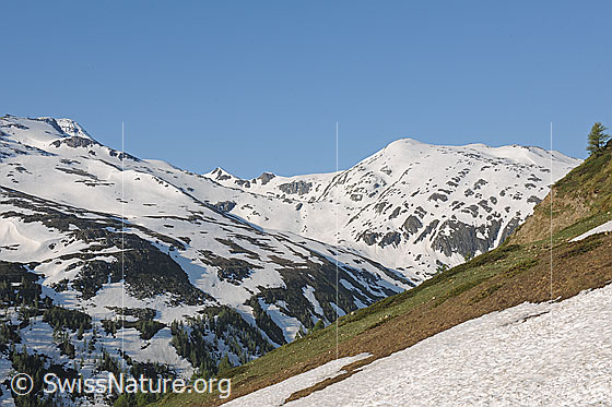 Foto: Saflischtal und Oberblatthorn