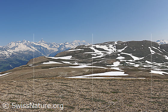 Foto: Blick von Chalti Wassre über das Binntaler Breithorn zu den östlichen Berner Alpen.