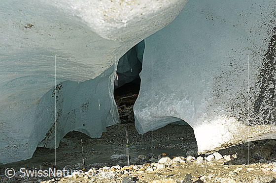 Foto: Interessante Formen am Gletscherrand.