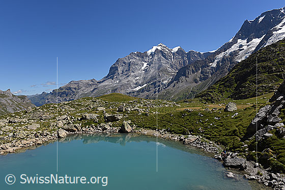 Foto: Blick über den Oberhornsee zur Jungfrau.