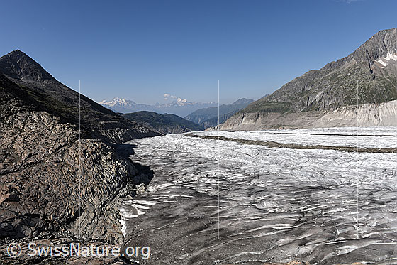 Foto: Am Eisstrom: Grosser Aletschgletscher. Blick von Platta Richtung Gletscherzunge. Links das Eggishorn.
